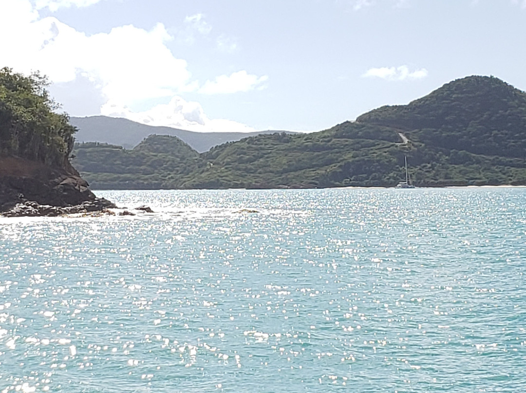 Boat Trips Antigua景点图片