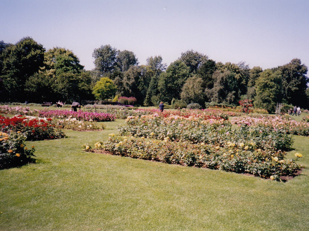 Westbroekpark景点图片