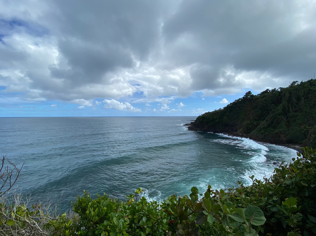 Kalinago Territory-多米尼克必去景点