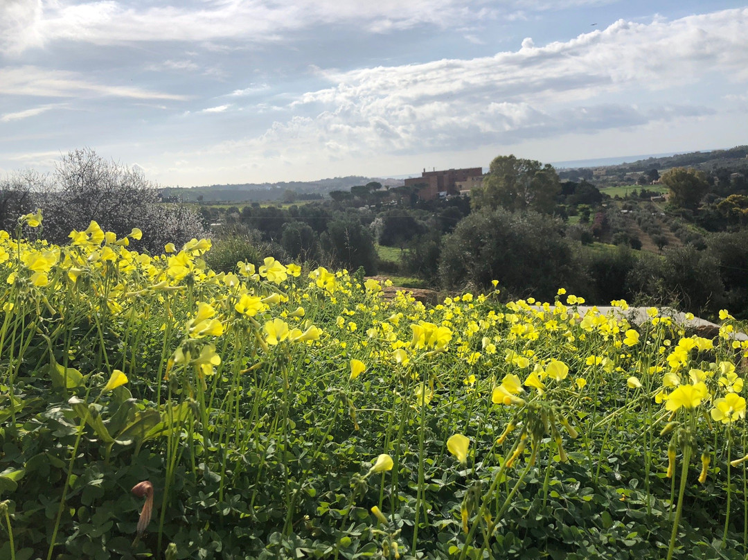 阿格里简托米拉瓦勒住宿加早餐旅馆主图