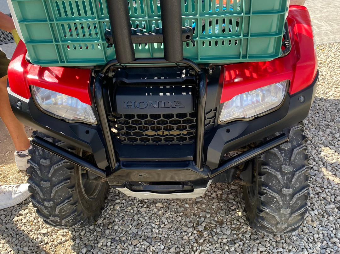 Quadgirl ATV/UTV Rentals-Los Barriles必去景点