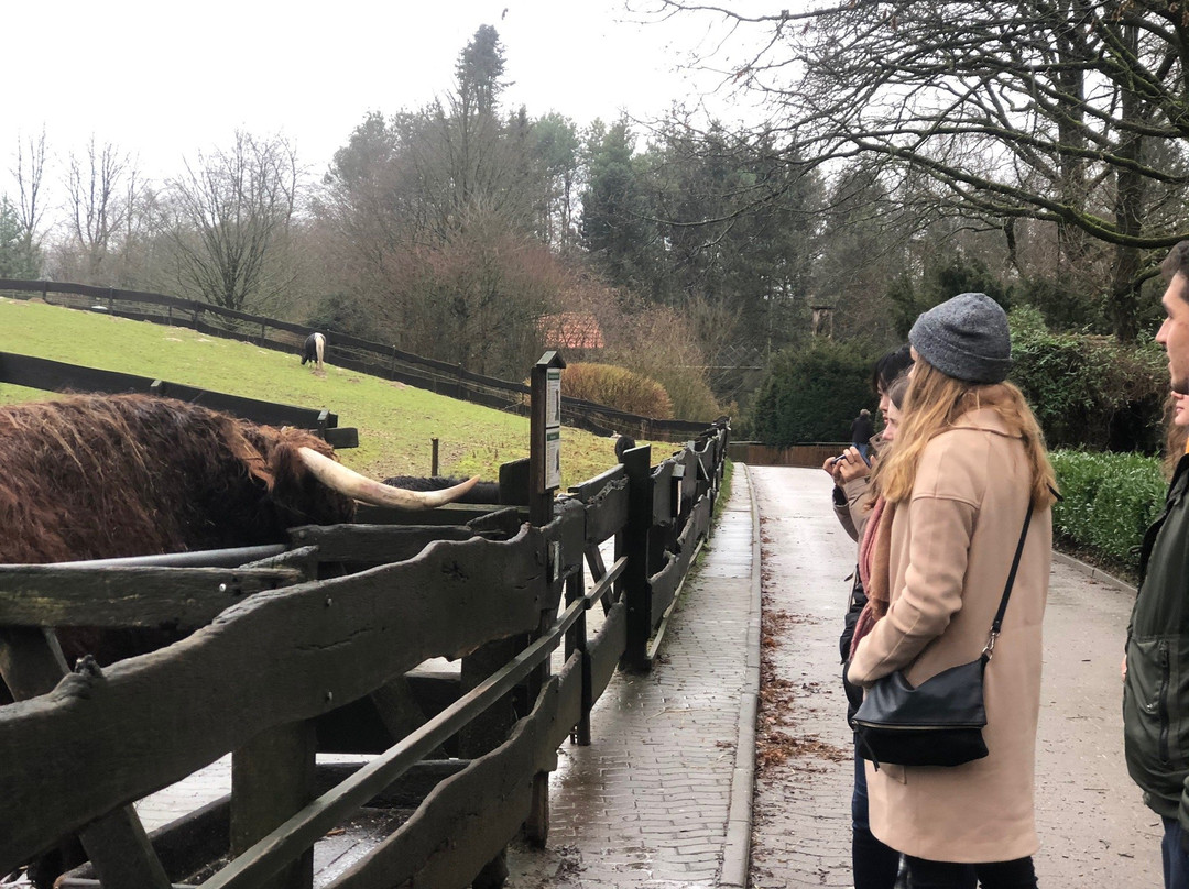 Heimat-Tierpark Olderdissen景点图片