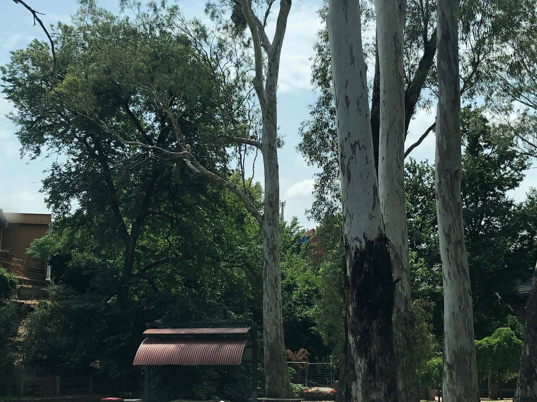 Kaluna Park-Wangaratta必去景点