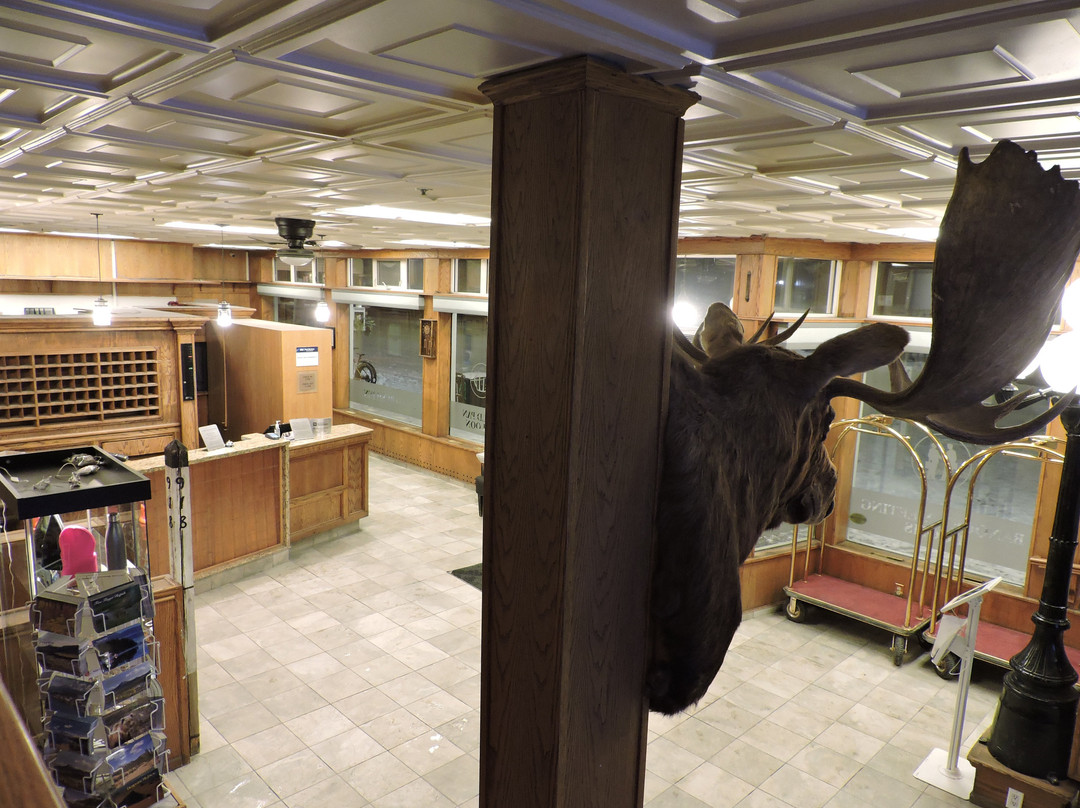 贝斯维斯特淘金酒店主图