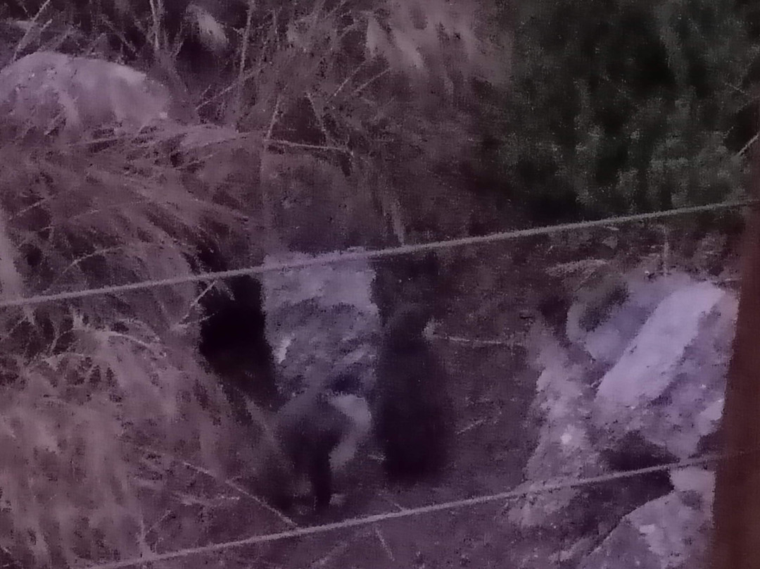 Penguin Centre-维克多港必去景点