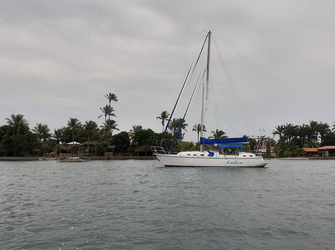 Bicho-preguiça Ecoturismo-Itacare必去景点