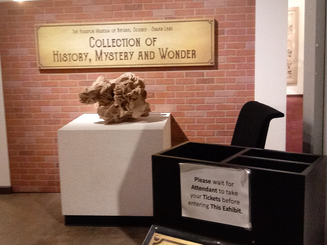 Houston Museum of Natural Science at Sugar Land-舒格兰必去景点