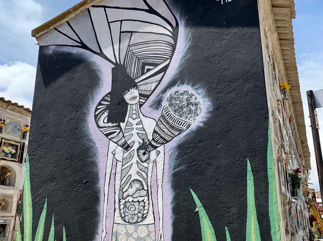 Cementerio General-拉巴斯必去景点