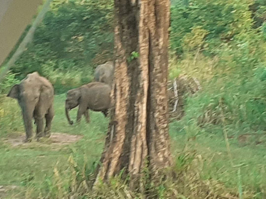 Nilaveli Cabs-尼拉瓦利必去景点
