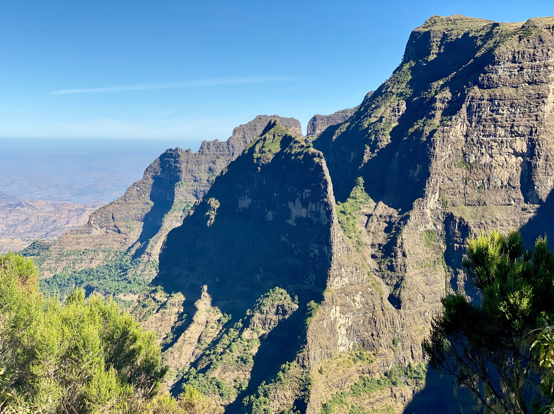 Simien Mountain Treks景点图片