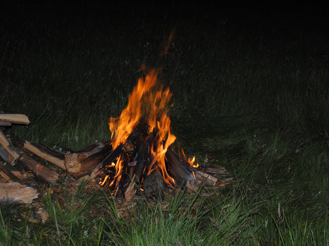 Khuvsgul Ikh Taiga Camp
