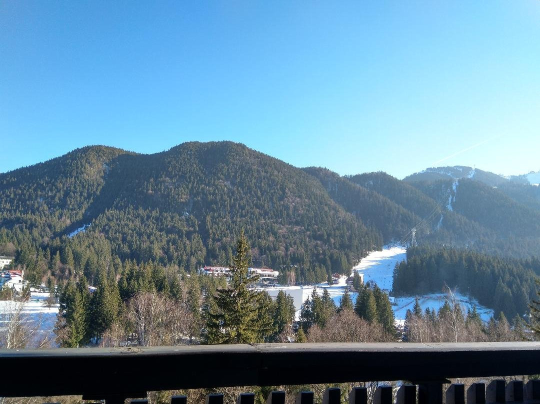Alpin Resort Hotel主图