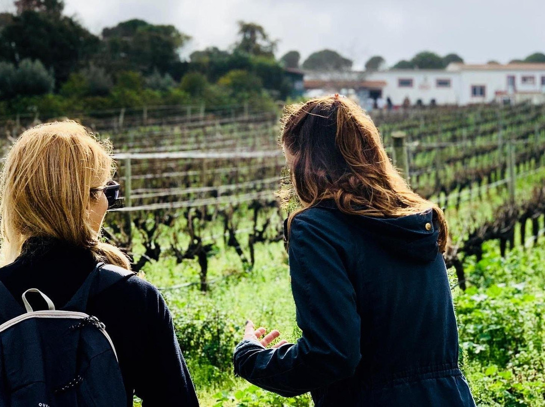 Breathe Arrábida | Tours & Events-Portinho da Arrabida必去景点