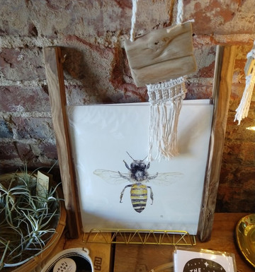 Noon-Sylva必去景点