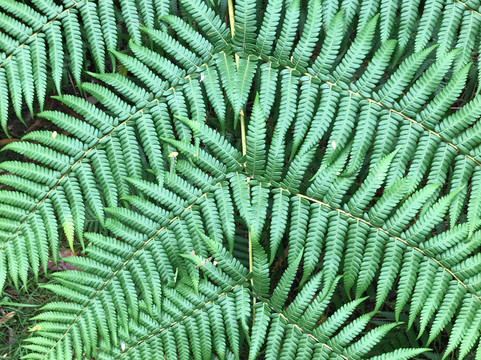 Nangara Reserve-Jindivick必去景点