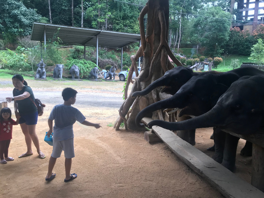 Kenyir Elephant Conservation Village景点图片