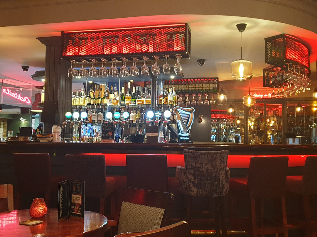 Molloys Bar and Grill-塔拉必去景点