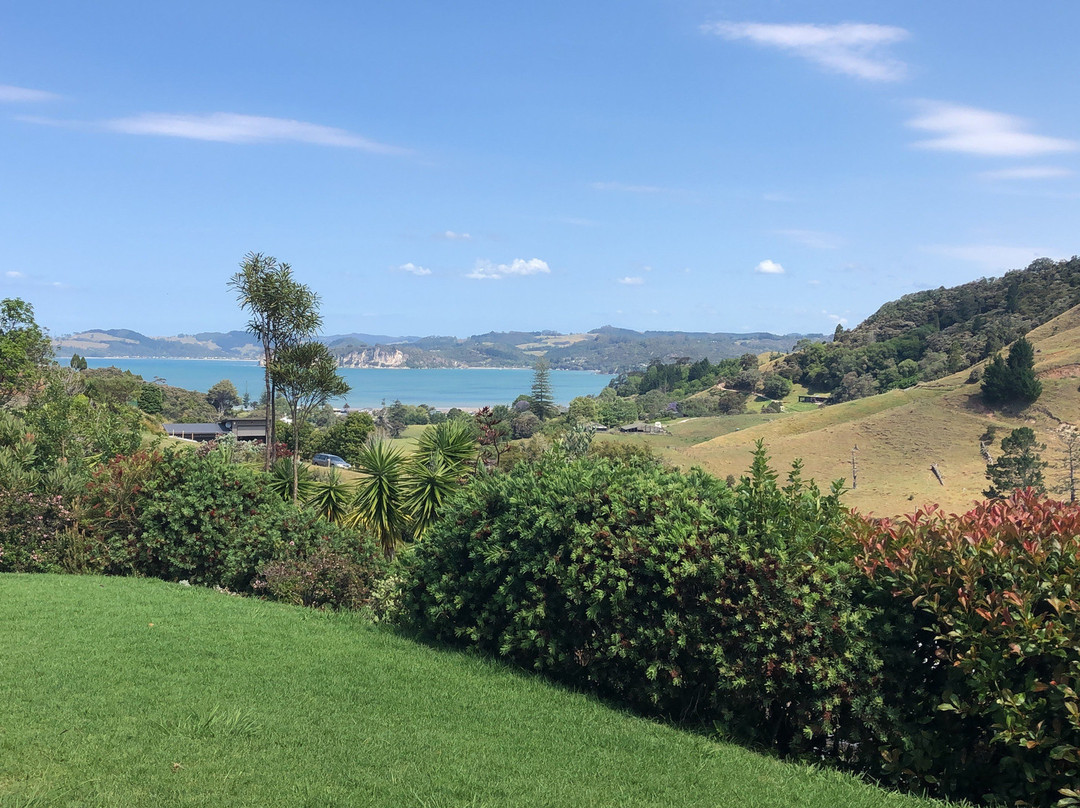 Ohuka Place Homestay主图