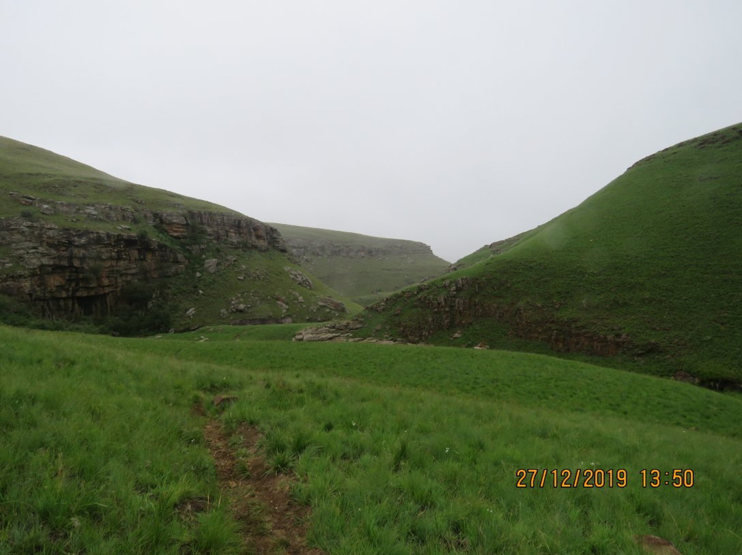 Cobham Nature Reserve景点图片