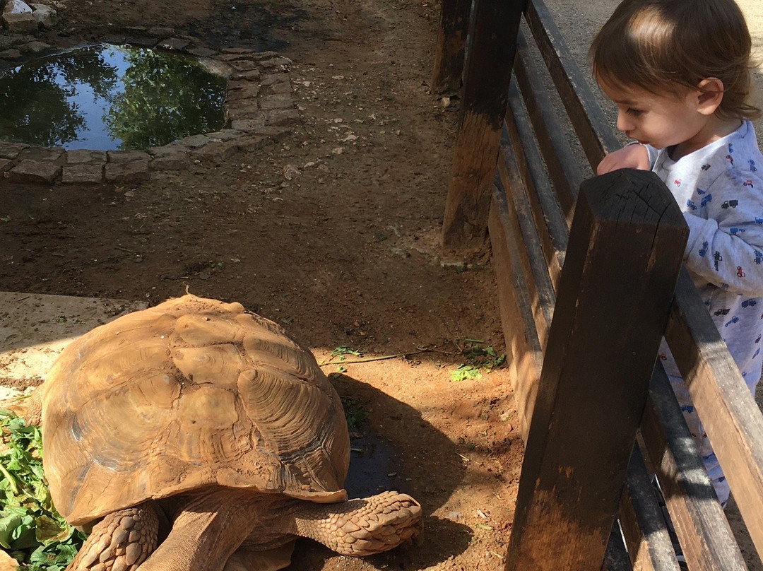 Kfar Saba Park-Kefar Sava必去景点