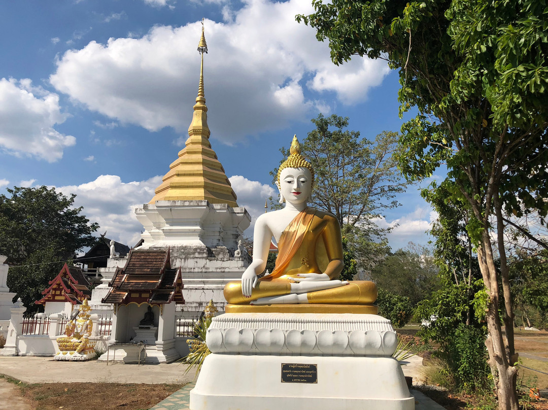 Wat Salaeng (Phra That Cha Aupakam)景点图片