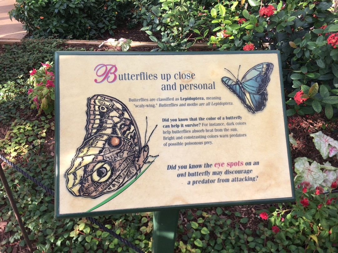 Cecil B Day Butterfly Center-Pine Mountain必去景点