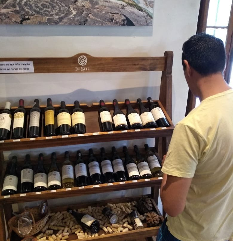 In Situ Family Vineyars-Los Andes必去景点