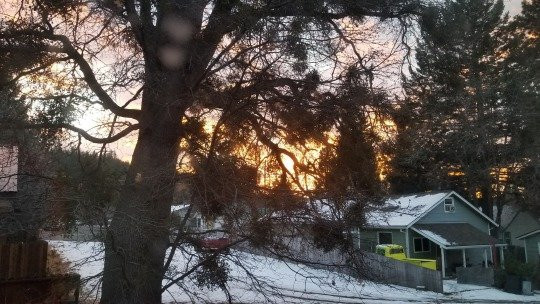 Inn at Mount Shasta主图