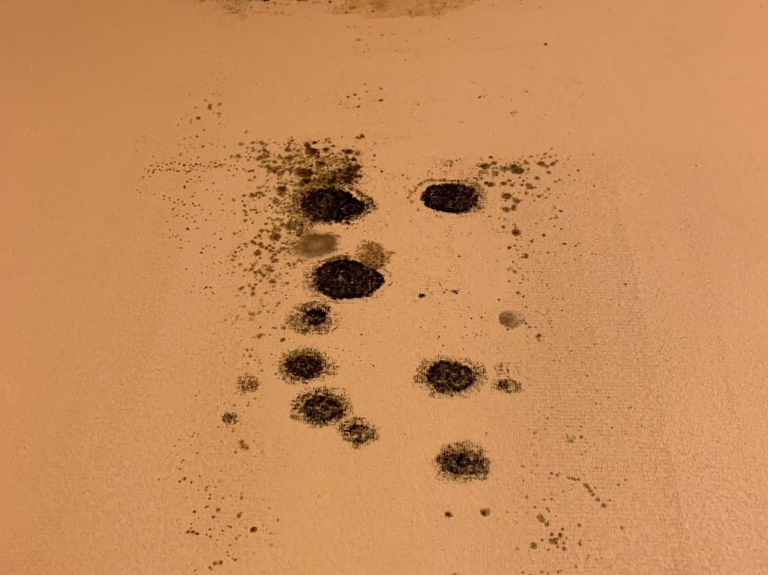 Baymont by Wyndham Memphis East主图