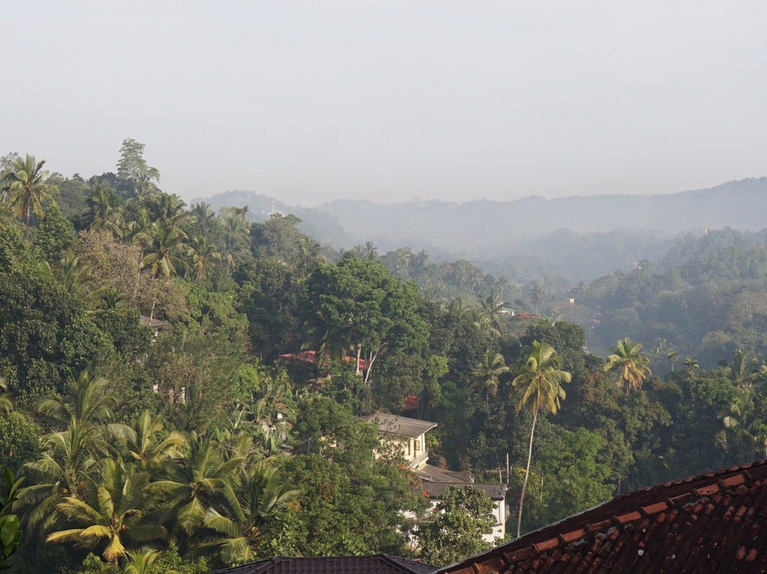 Pinnacle Of Everything主图