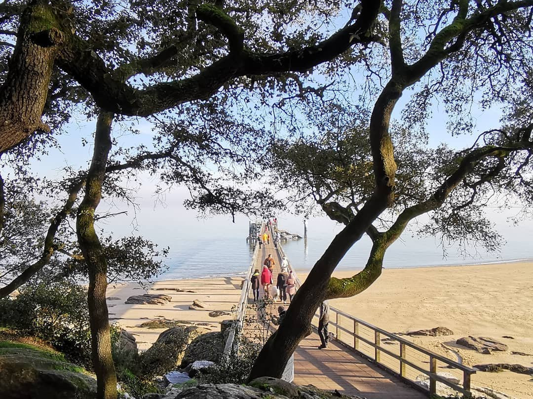 Plage des Dames景点图片