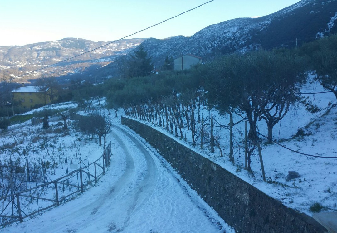 Agriturismo Terra Verde主图