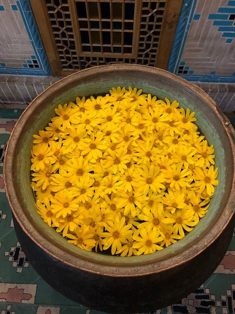 Moshir al-Mamalek Garden Hotel主图