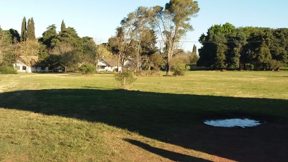 Soriano Department旅游攻略图片