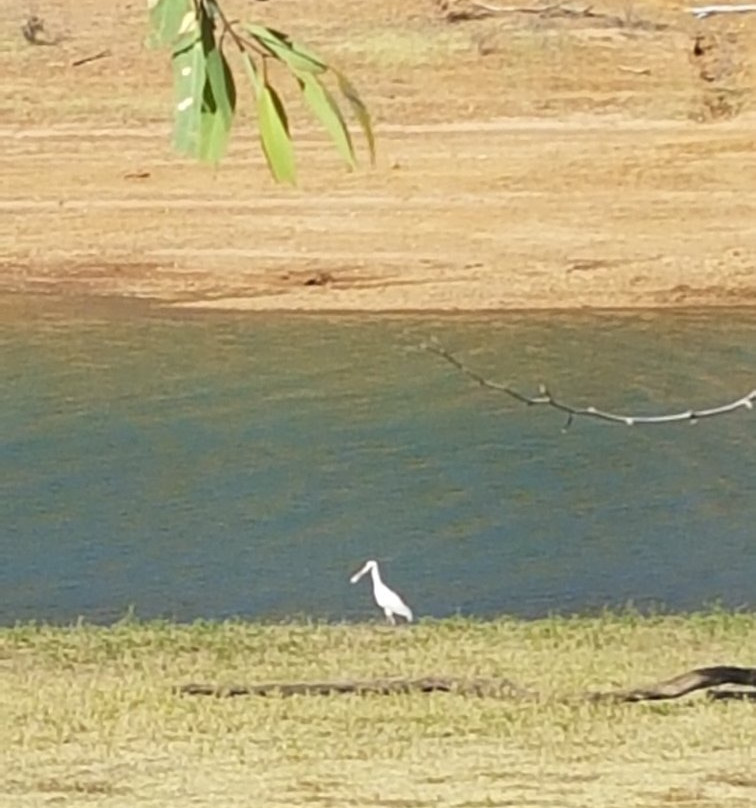 Harvey Dam and Amphitheatre景点图片