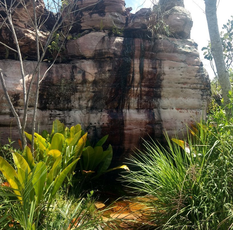 Parque Natural Municipal de Mucugê-Mucuge必去景点