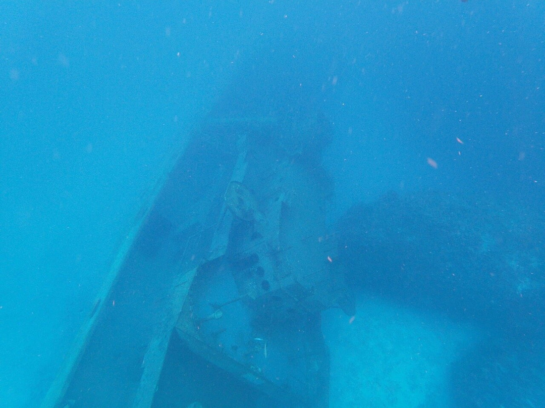 Kittiwake Shipwreck & Artificial Reef景点图片