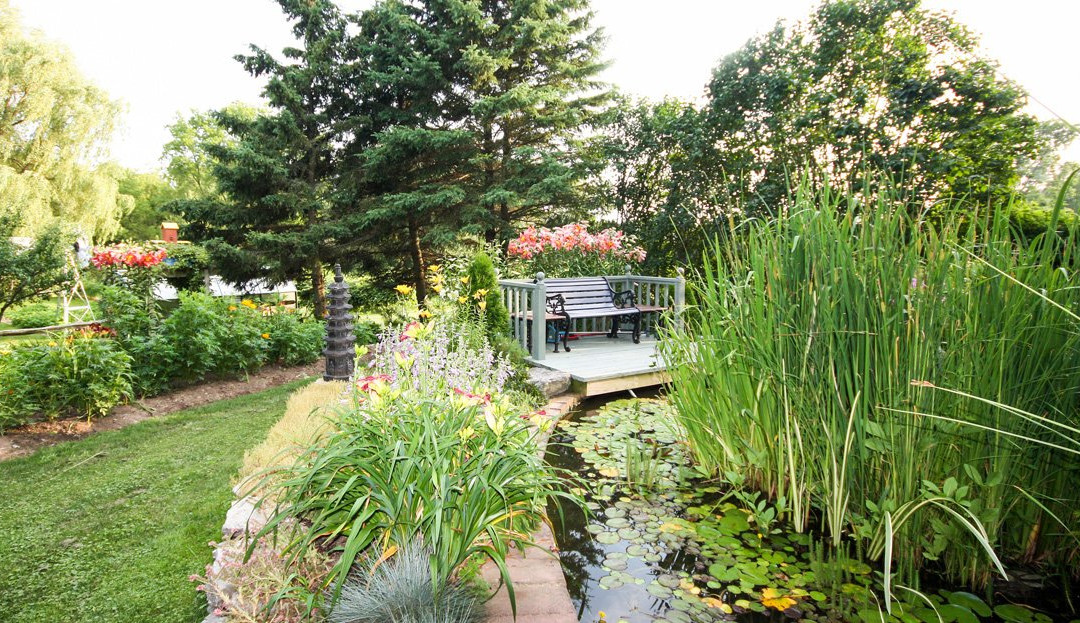 Nap N Nosh Bed and Breakfast主图