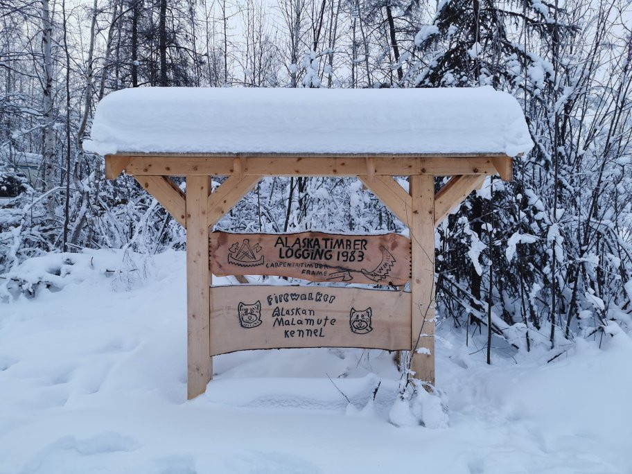 Firewalker Alaskan Malamute-北极必去景点