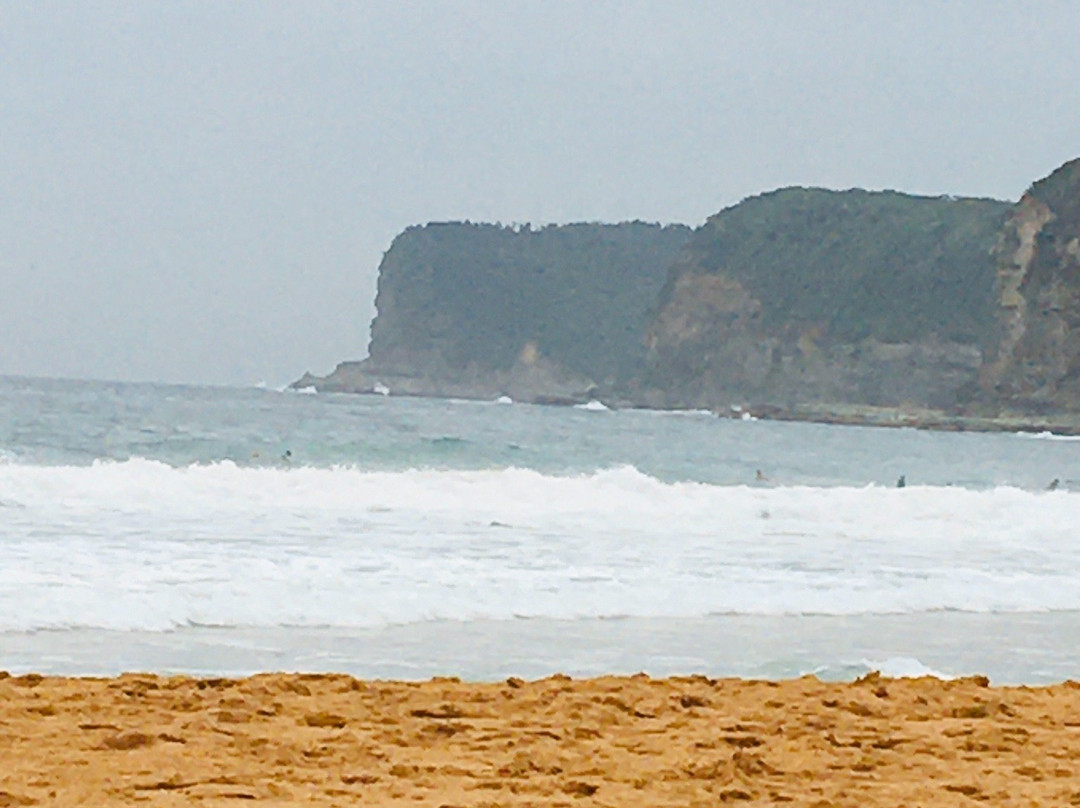 Avoca Beach-特里格尔必去景点
