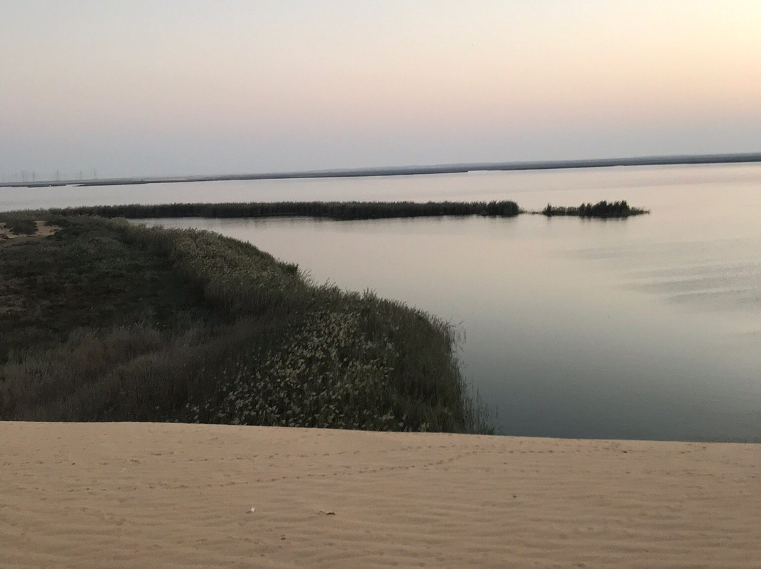 The Yellow Lake-Al Ahsa必去景点