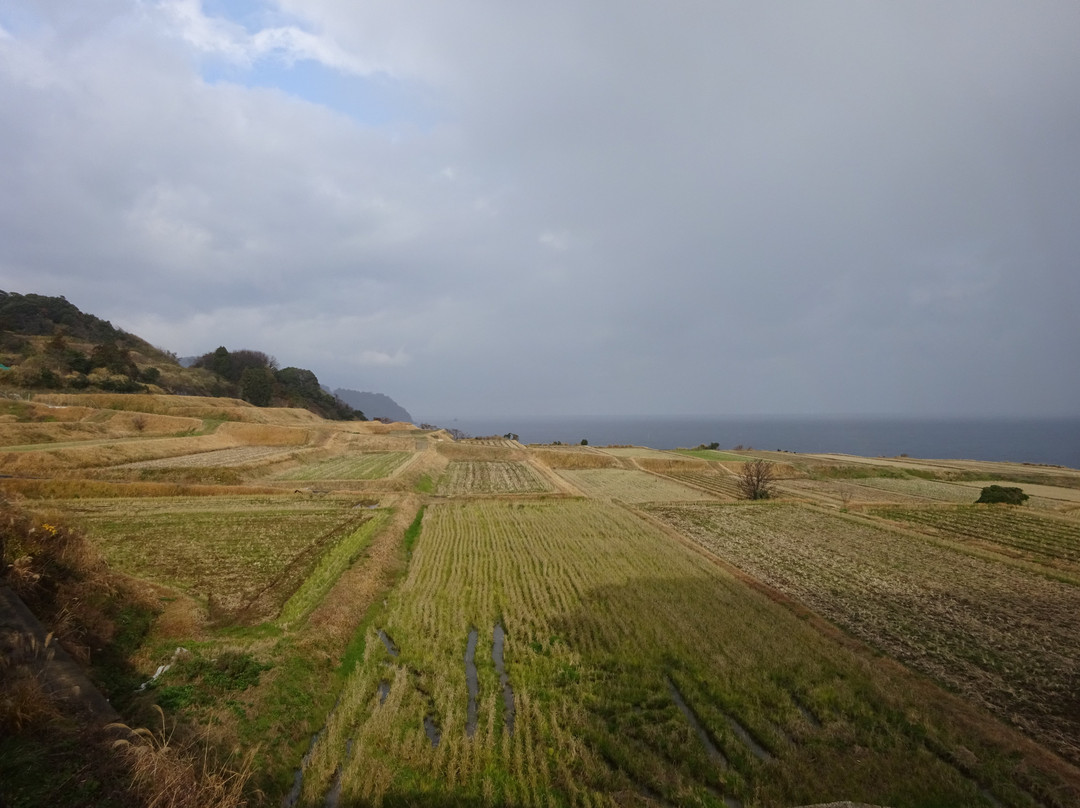 Nii Terraces-伊根町必去景点