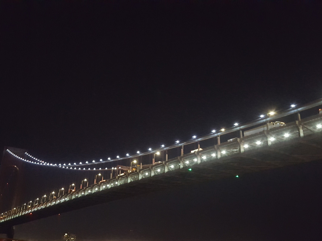 Verrazano Narrows Bridge-布鲁克林必去景点