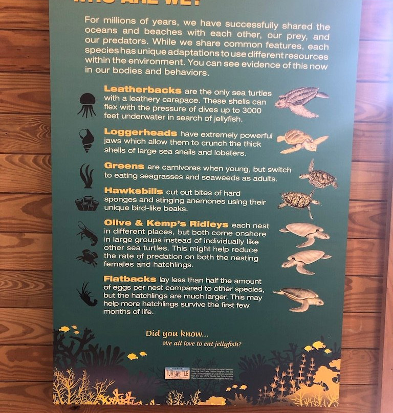 Florida Keys Eco-Discovery Center-基韦斯特必去景点