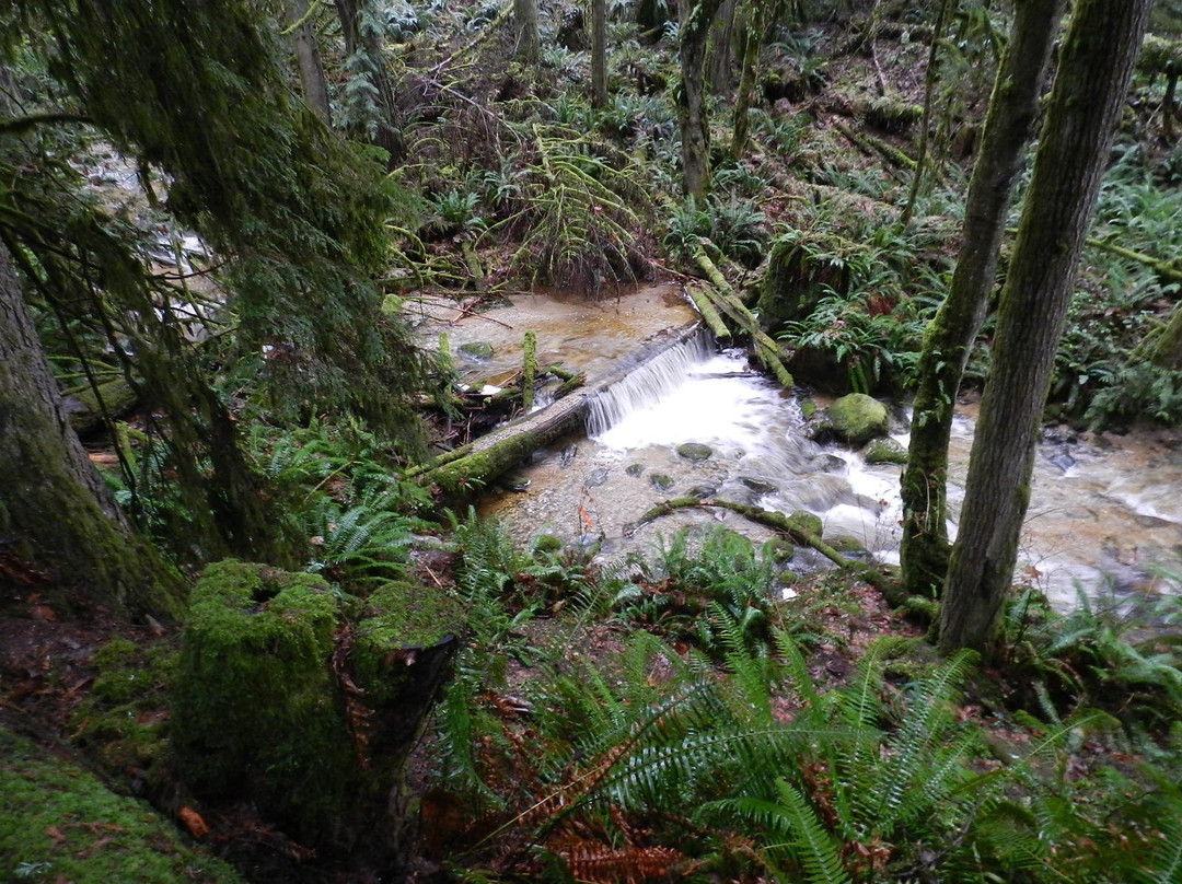 Burnett Falls Park-Sechelt必去景点