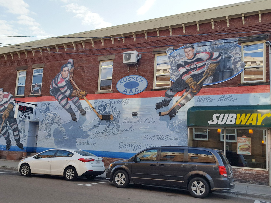 Sussex Murals景点图片