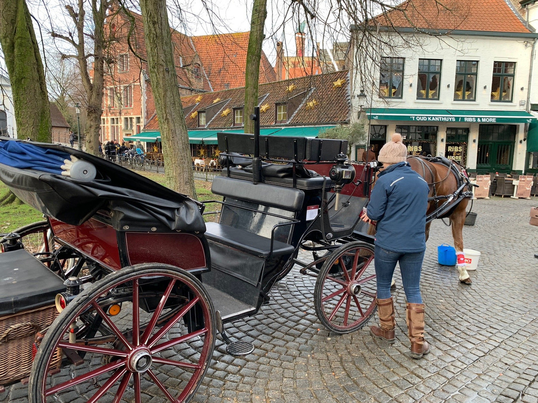 Bruges by Horse-Drawn Carriage景点图片