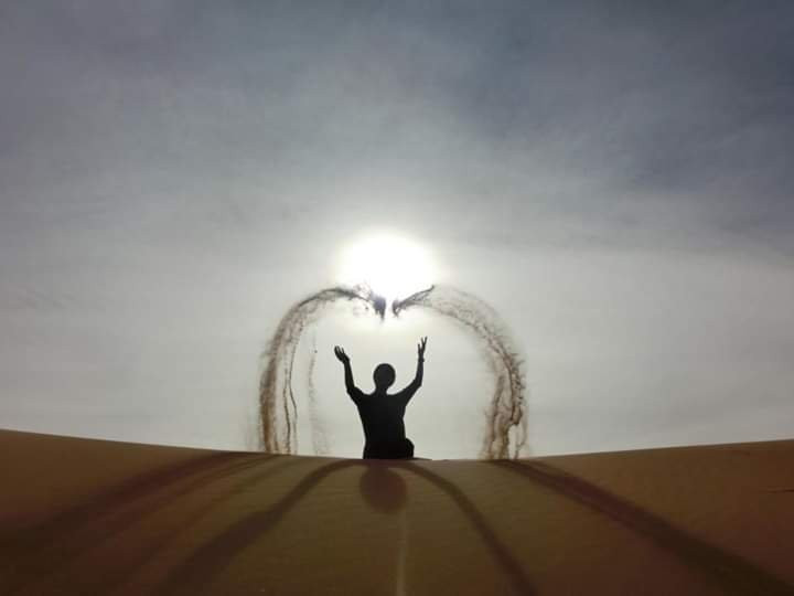 Wilderness Lodge Tours主图