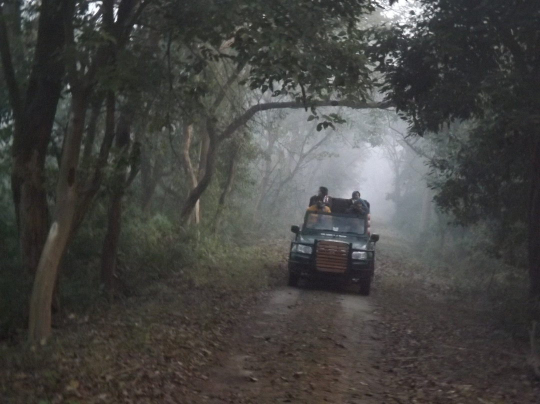 Katarniaghat Wildlife Sanctuary景点图片