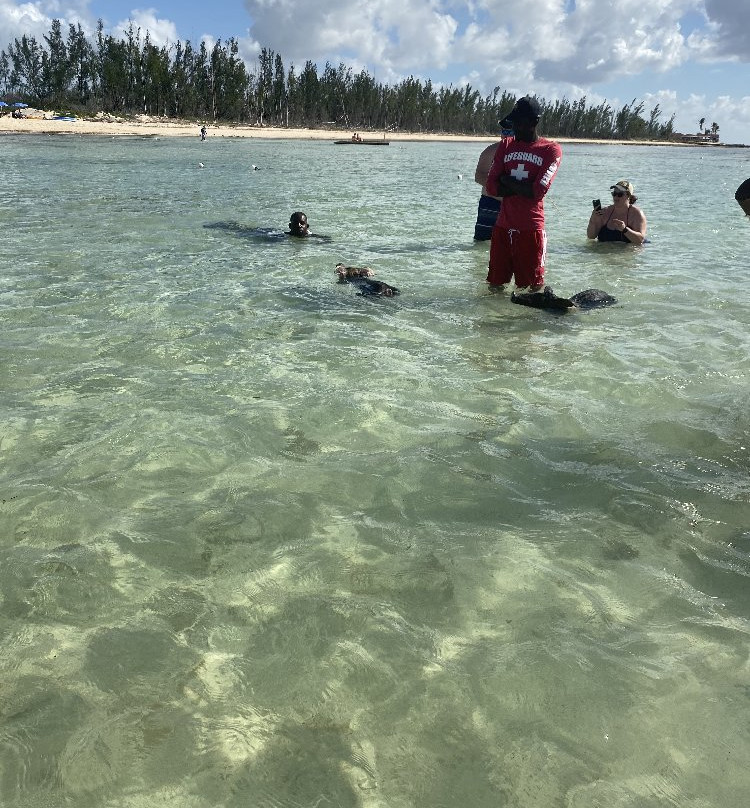 Bahamas Adventures-弗里波特必去景点